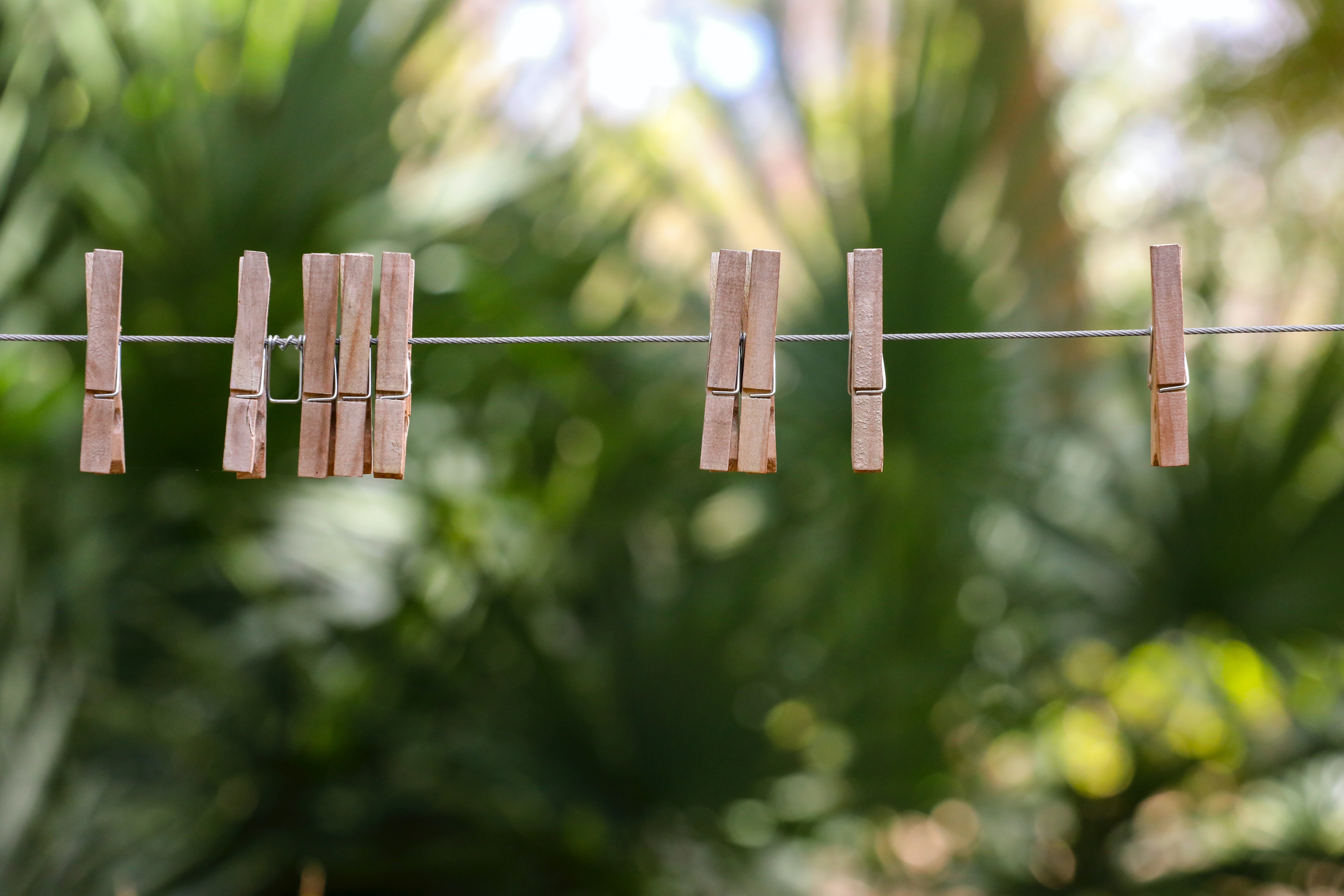 Tvättlina med tvättklämmor som hänger i en grön skog