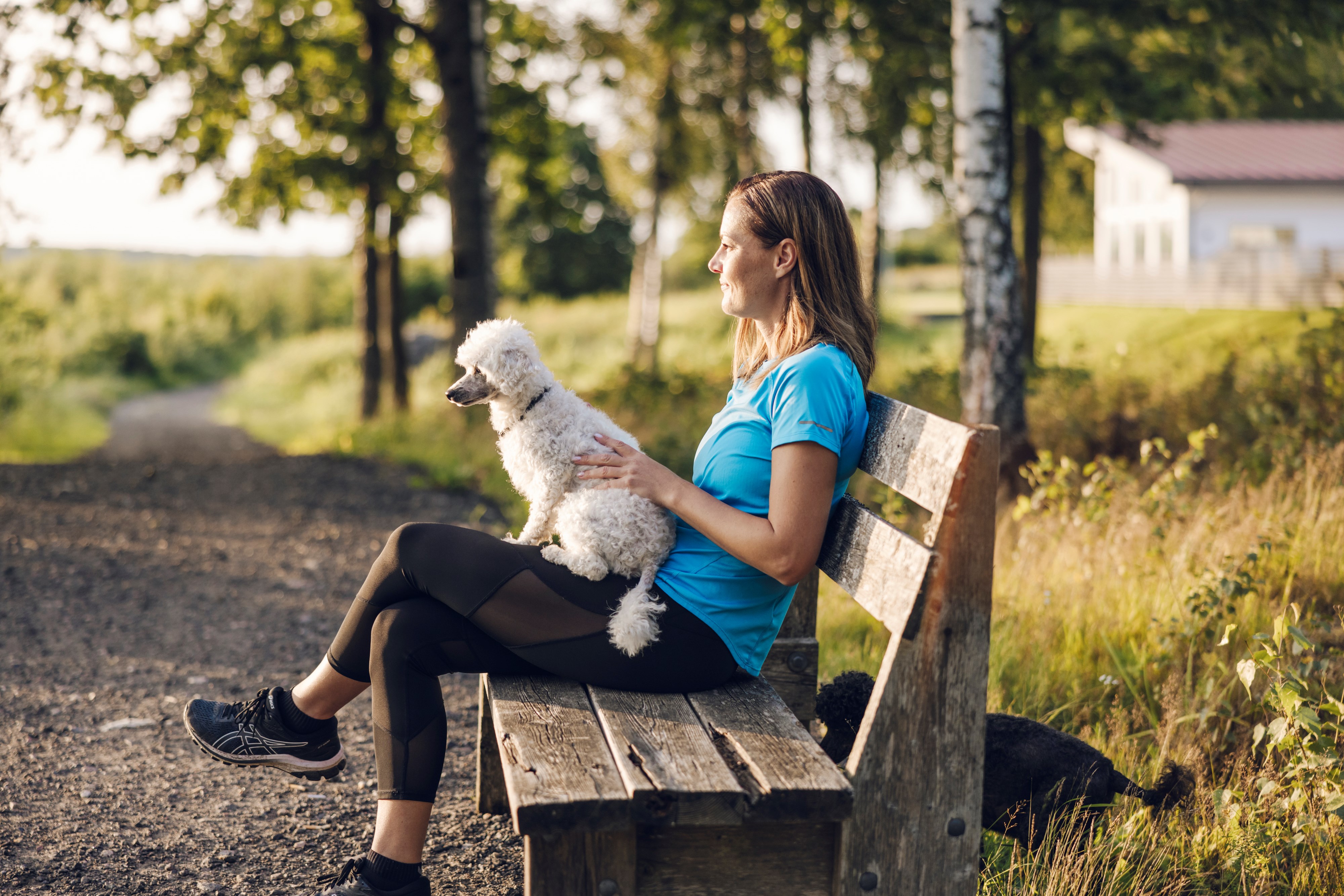 En kvinna sitter på en bänk tillsammans med två hundar och tittar ut över sjön